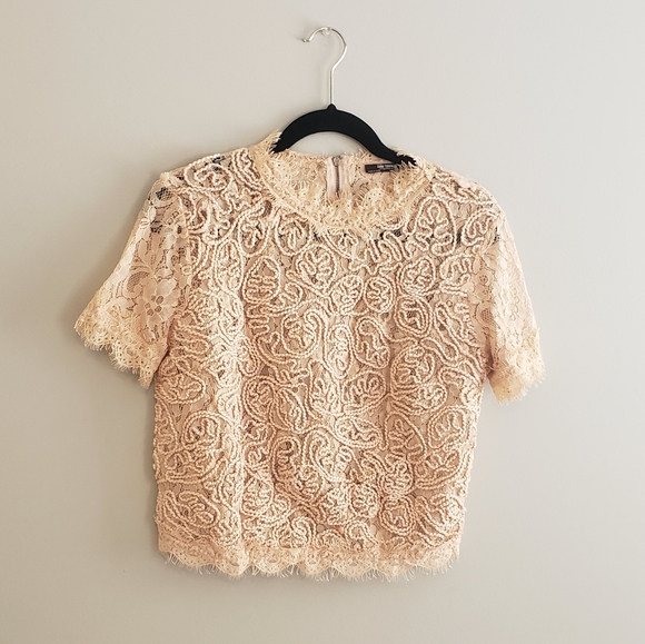 Zara Blush pink lace top - Picture 2 of 5